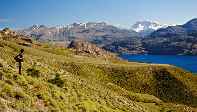 Descubre todo sobre el Parque Nacional Patagonia de Argentina
