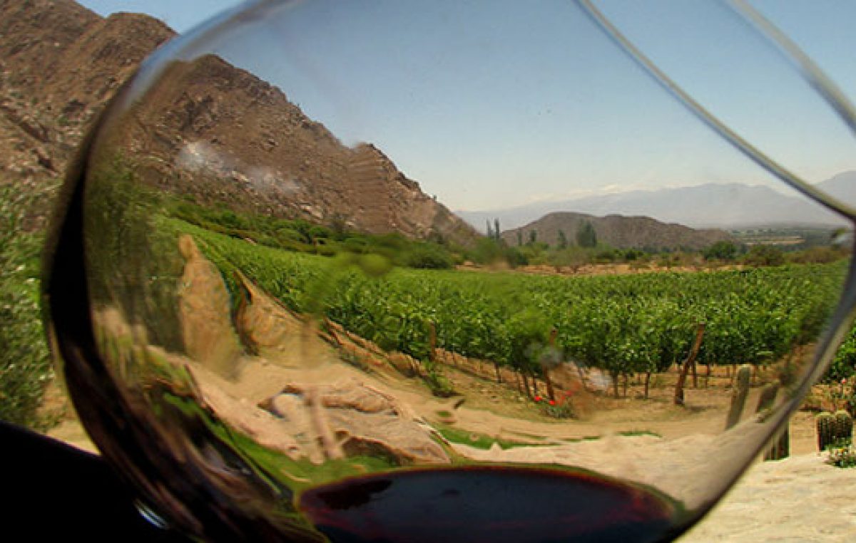 Ruta del Vino Mendoza: turismo y todo lo que necesita saber